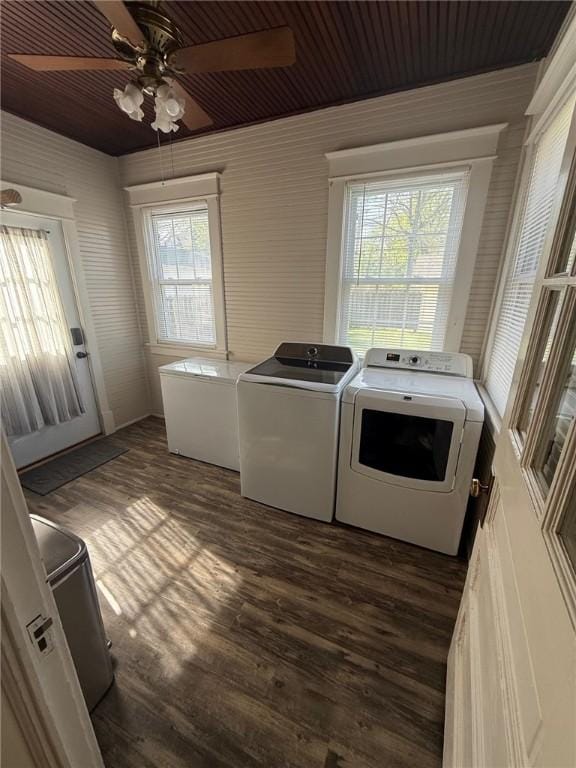 washroom with ceiling fan, laundry area, dark wood-style floors, and independent washer and dryer