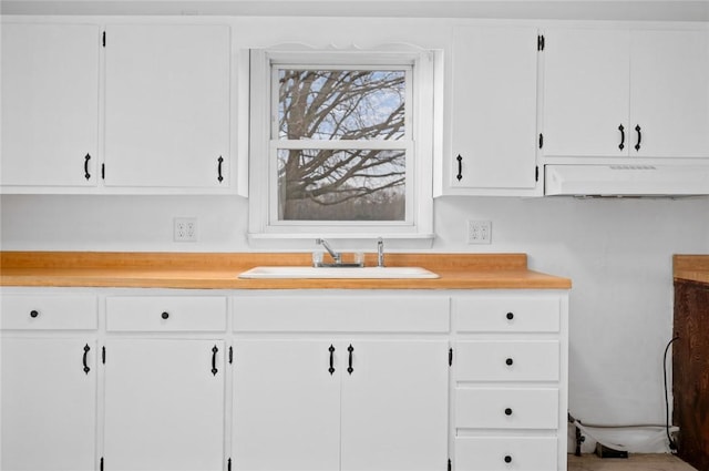 710 E Blackburn St, Paris, IL 61944 - kitchen with a sink, under cabinet range hood, light countertops, and white cabinets