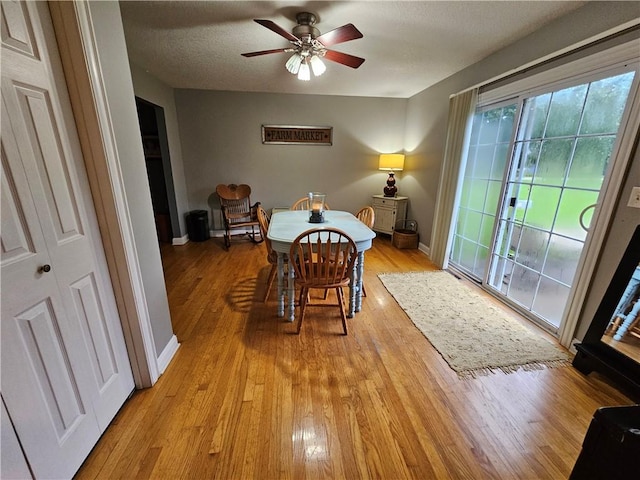 58 S Shores Shrs, Sullivan, IL 61951 - photo 9