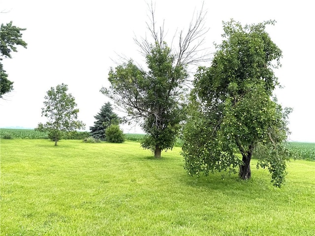 1953 E 4200 N Rd, Rankin, IL 60960 - view of grassy yard featuring a view of rural / pastoral area