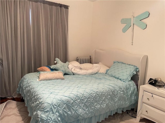 428 E Main St, Hoopeston, IL 60942 - bedroom featuring radiator heating unit