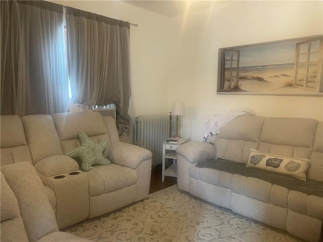 428 E Main St, Hoopeston, IL 60942 - living room featuring radiator heating unit