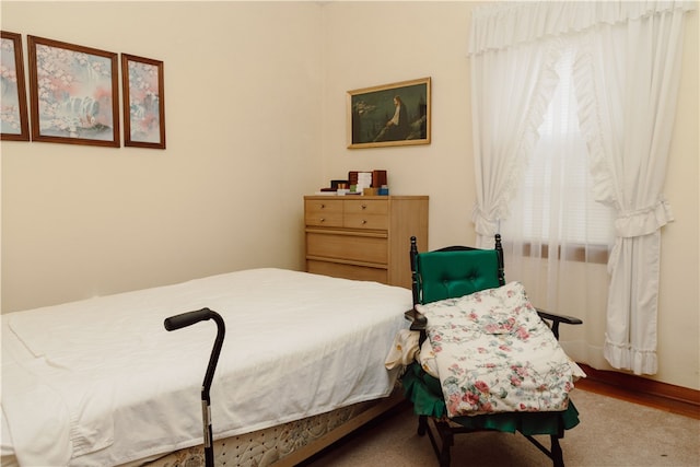 125 College St, Assumption, IL 62510 - view of bedroom