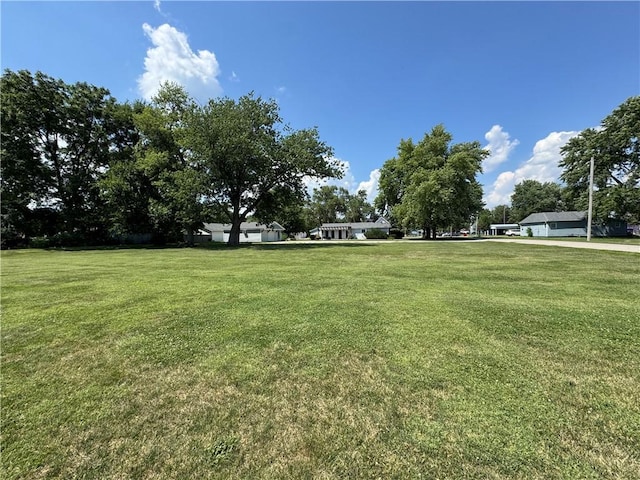 202 Seminary St, Catlin, IL 61817 - view of grassy yard