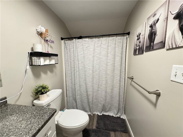 202 Seminary St, Catlin, IL 61817 - full bathroom with vanity, lofted ceiling, and a shower with curtain