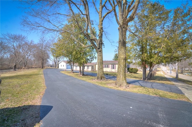 view of street featuring driveway