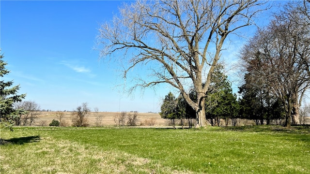 9480 Caleb Rd, Argenta IL, 62501 land for sale