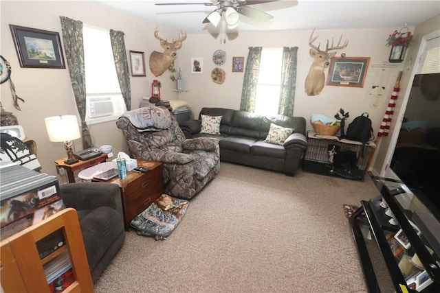 520 E S 1st St, Shelbyville, IL 62565 - photo 6