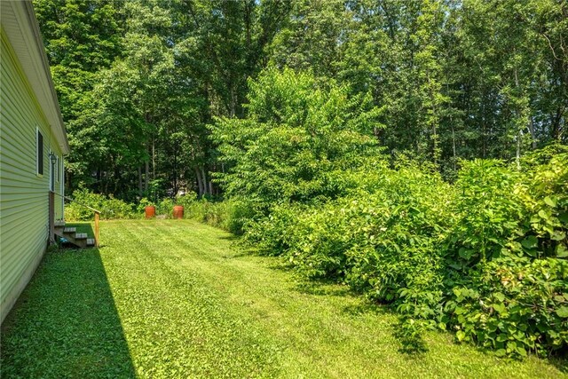 485 County Road 600 N, Neoga, IL 62447 - view of grassy yard with a wooded view