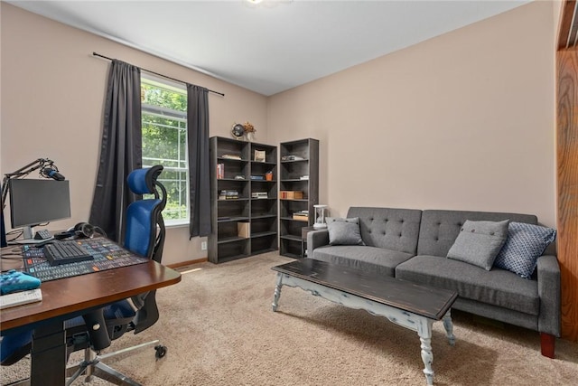 485 County Road 600 N, Neoga, IL 62447 - office featuring carpet and baseboards