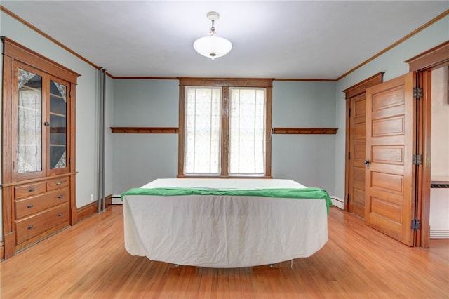 319 N Macon St, Moweaqua, IL 62550 - rec room featuring ornamental molding, light wood-style flooring, and a baseboard heating unit