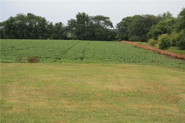 235 E 150 N Rd, Hammond, IL 61929 - view of green lawn featuring a view of countryside