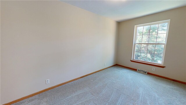 301 Eagle Bluff Dr, Oakwood, IL 61858 - photo 23