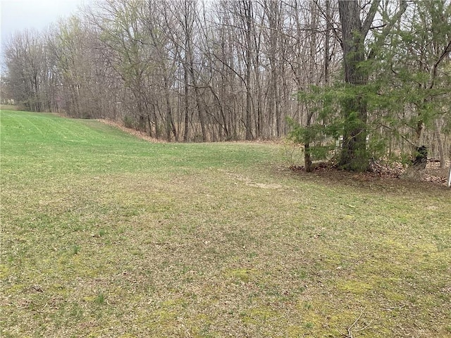 view of yard with a forest view