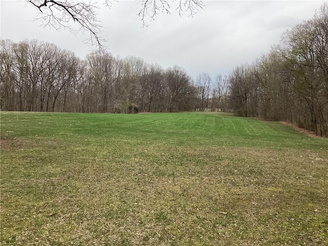 view of yard featuring a view of trees