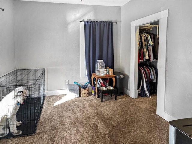 carpeted bedroom with a walk in closet and a closet