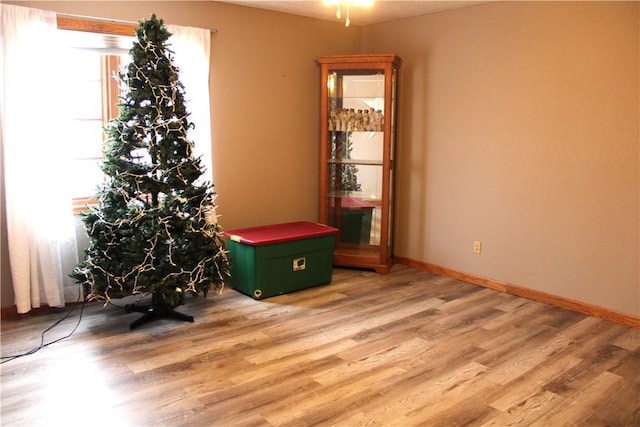 misc room featuring light hardwood / wood-style flooring