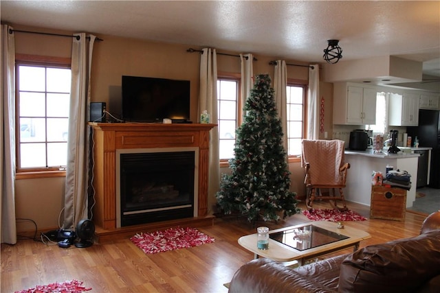 living room with light wood-type flooring