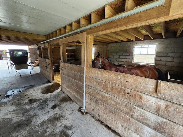 17204 N 125th St, Oblong, IL 62449 - view of stable