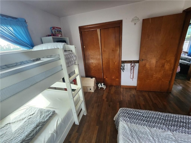 17204 N 125th St, Oblong, IL 62449 - bedroom with wood finished floors, multiple windows, and a closet