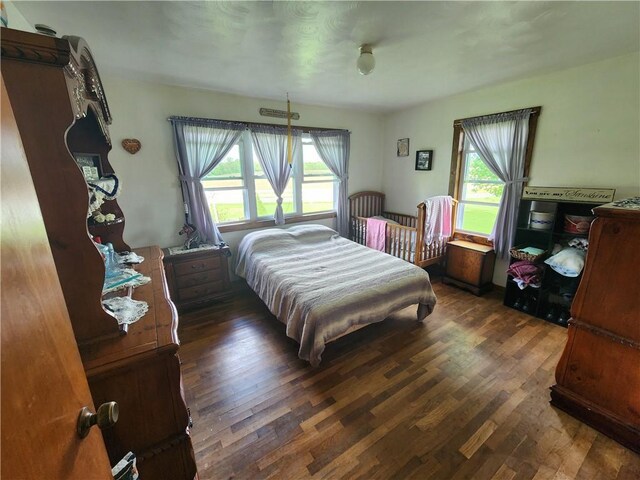 17204 N 125th St, Oblong, IL 62449 - bedroom with multiple windows and wood finished floors