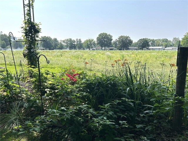 601 Holiday Dr, Effingham, IL 62401 - view of yard with a view of countryside