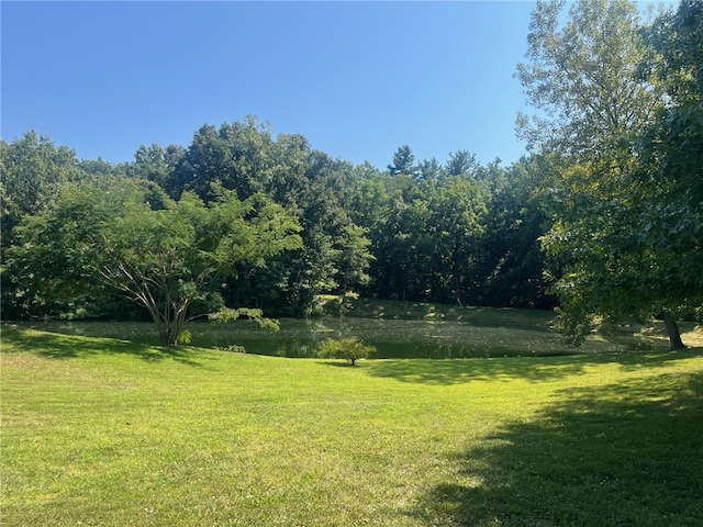 view of yard with a water view