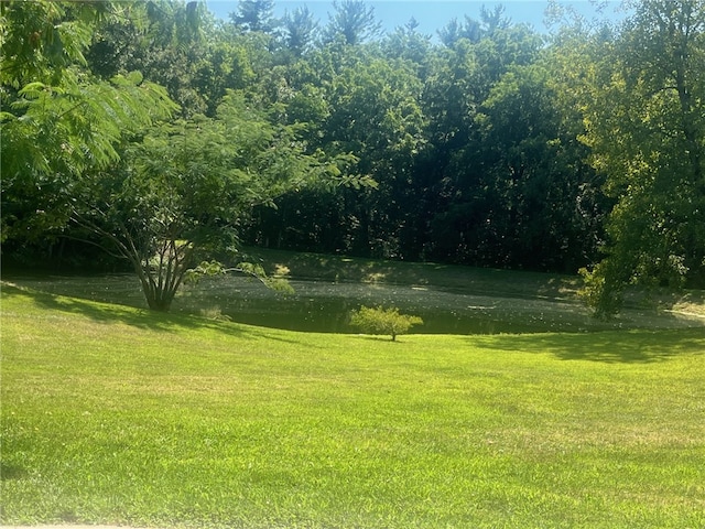 view of yard with a water view