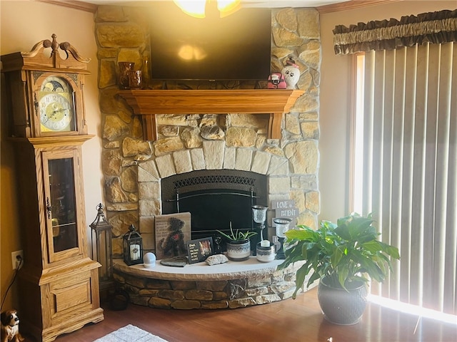 room details featuring a fireplace and hardwood / wood-style floors