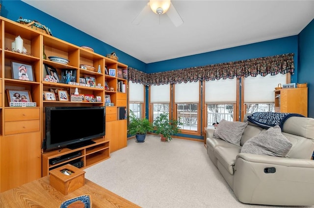 2 Rosewood Ct, Paris, IL 61944 - living room with carpet flooring and ceiling fan
