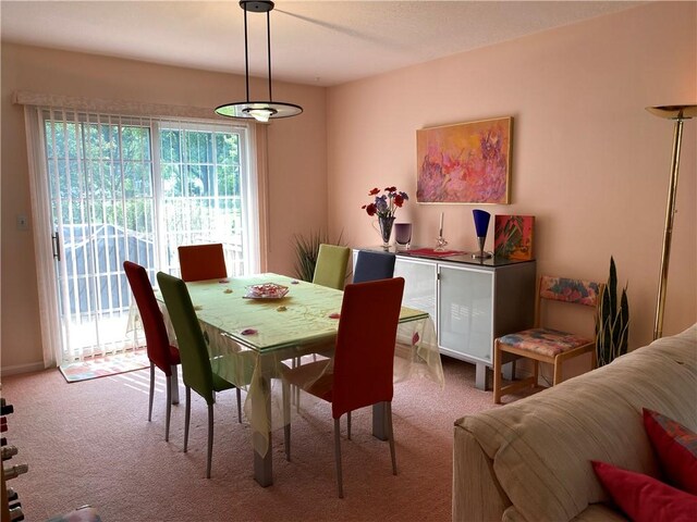 2524 Woodlawn Dr, Charleston, IL 61920 - photo 8