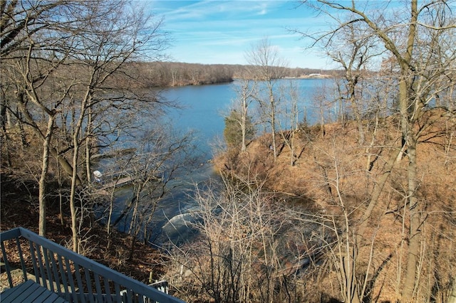 property view of water