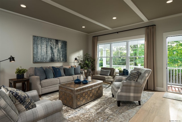 living room featuring crown molding and light hardwood / wood-style floors