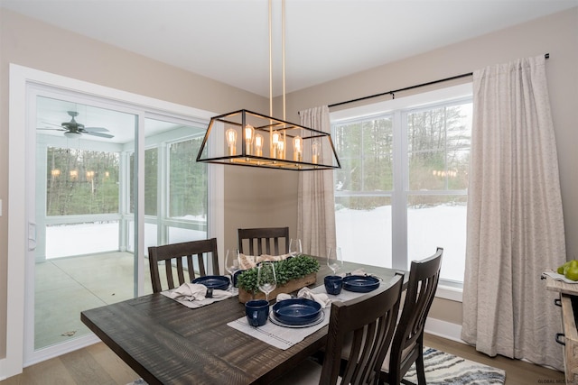 dining area with light hardwood / wood-style floors and ceiling fan with notable chandelier