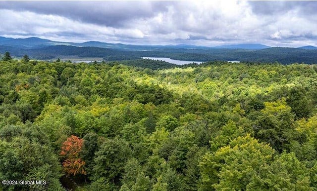 63 Palisade Park Way, Saranac Lake, NY 12983 - property view of mountains