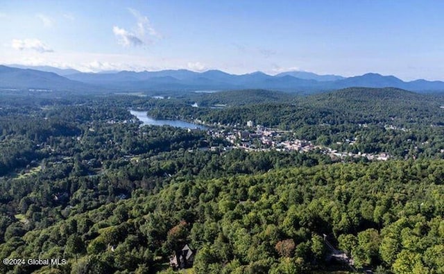 63 Palisade Park Way, Saranac Lake, NY 12983 - birds eye view of property with a mountain view
