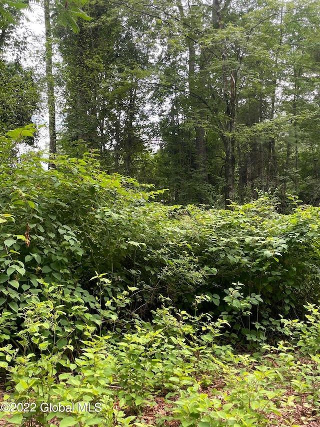 LOT3 Pickle Hill Rd, Queensbury NY, 12804 land for sale