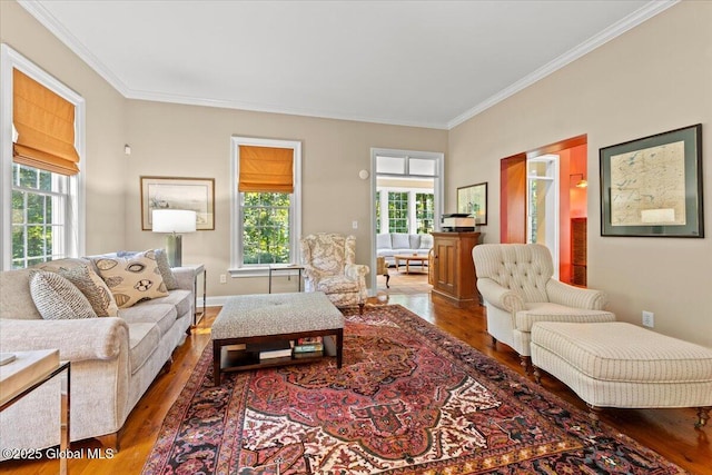 living area featuring ornamental molding and wood finished floors