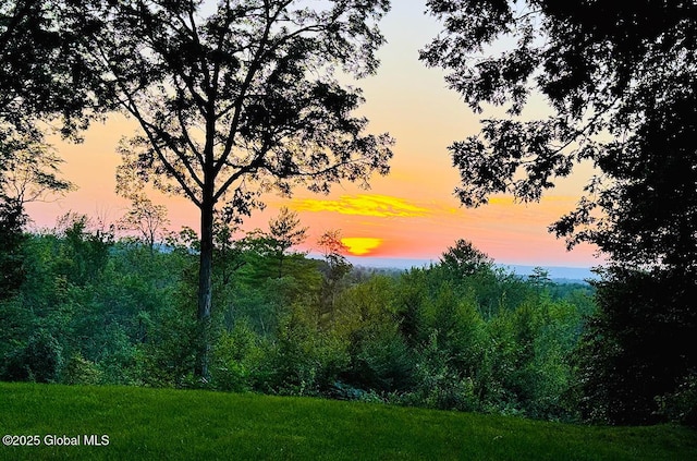 nature at dusk with a wooded view