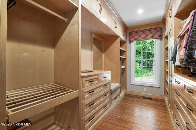 5 Winding Brook Dr, Saratoga Springs, NY 12866 - spacious closet with light wood-style flooring