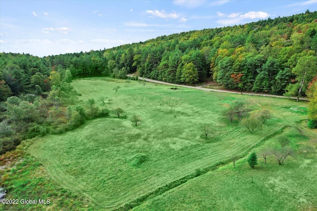 L10 Pucker St, Warrensburg NY, 12817 land for sale