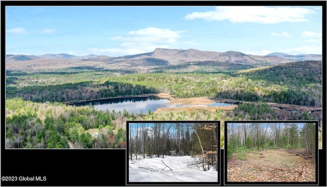 L9 Byrd Pond Rd, Chester NY, 12817 land for sale