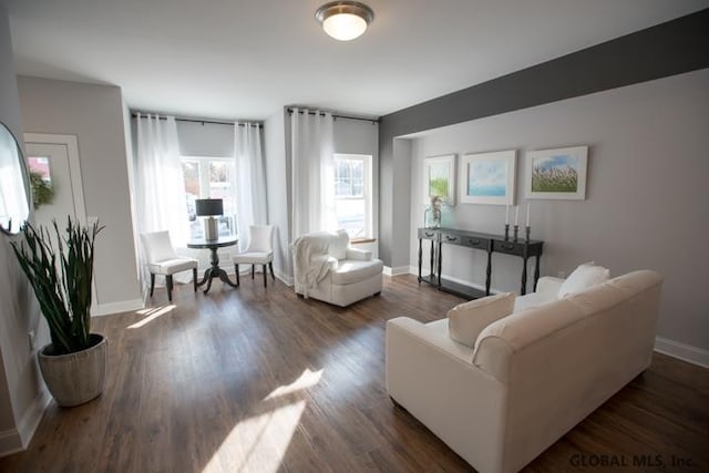 living room with dark wood-type flooring