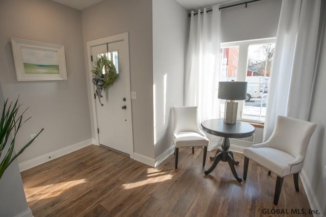 foyer entrance featuring plenty of natural light and dark hardwood / wood-style floors