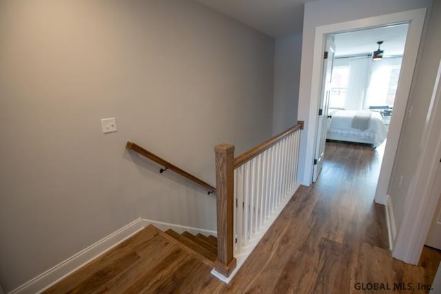 stairway featuring dark hardwood / wood-style floors and ceiling fan