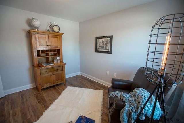 living area featuring dark hardwood / wood-style floors