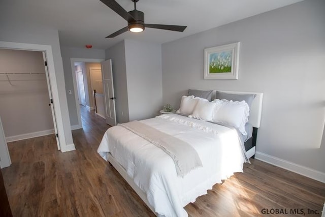 bedroom with a closet, a walk in closet, ceiling fan, and dark hardwood / wood-style flooring