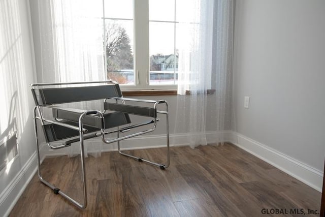 miscellaneous room featuring dark wood-type flooring