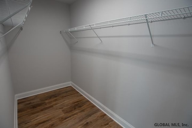 walk in closet with hardwood / wood-style floors