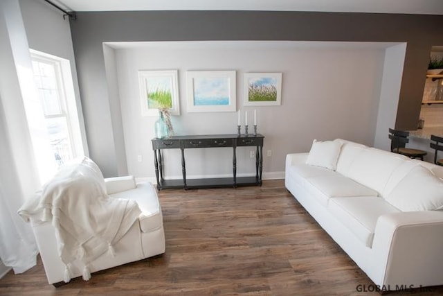 living room featuring dark hardwood / wood-style floors